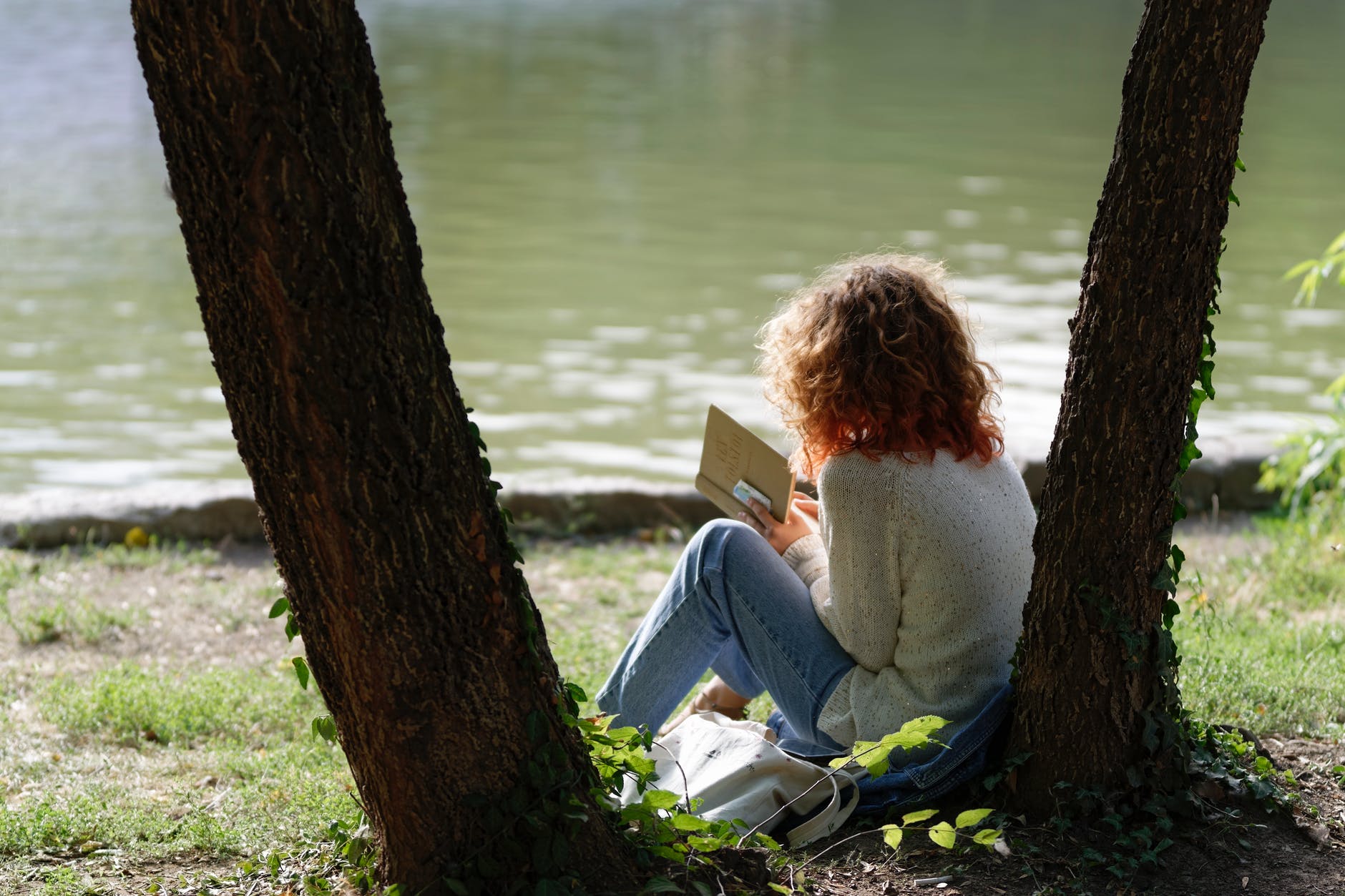 The Paris Review Staff’s Favorite Books of 2019