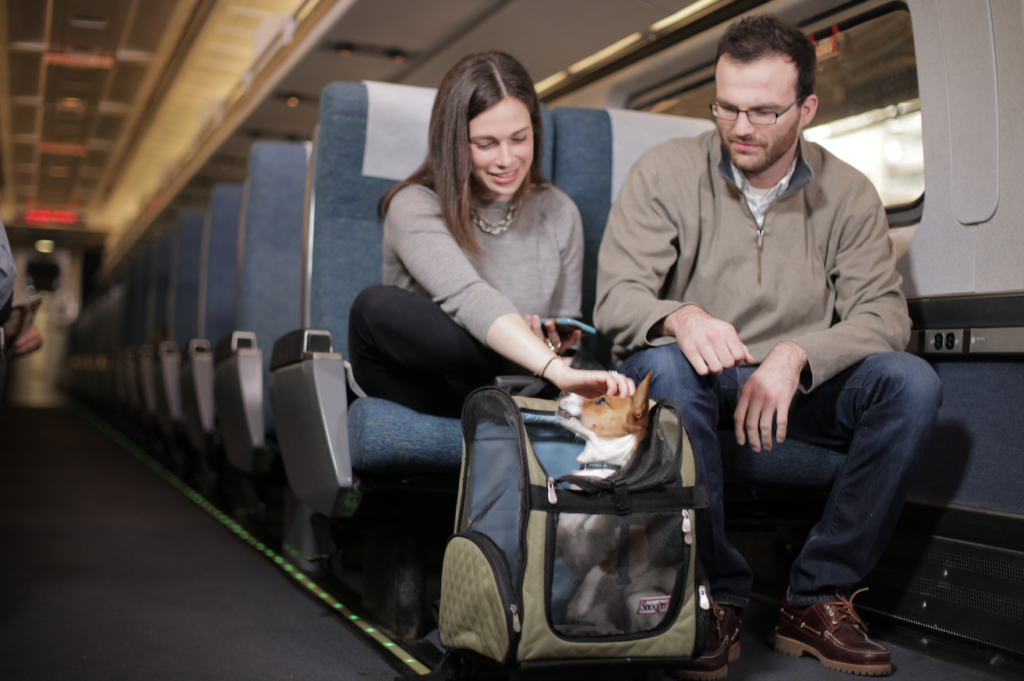 Amtrak goes all in on dogs (and pet fares add up) | WTOP