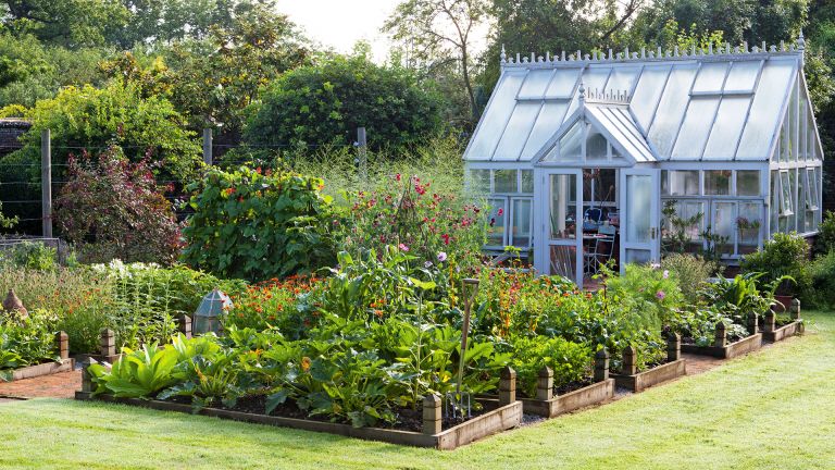 Monty Don’s brilliantly simple tip for building raised beds in the garden | Country