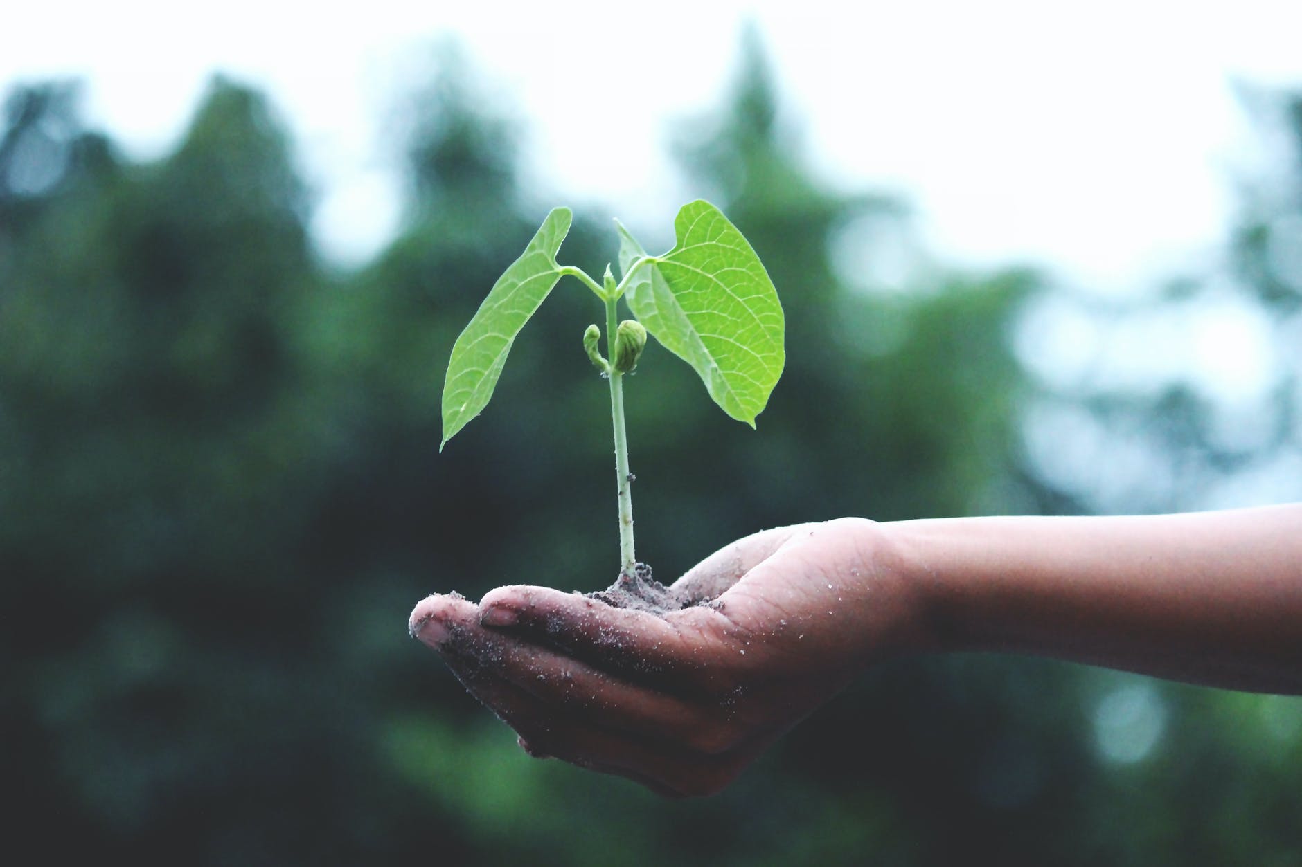 Earth Day: The Official Site | EARTHDAY.ORG