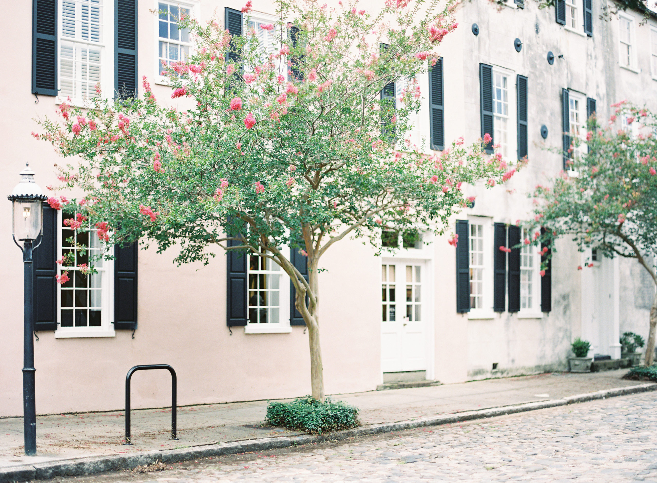 You Have To See These 15 Photos Of Charleston In Bloom – Explore Charleston Blog