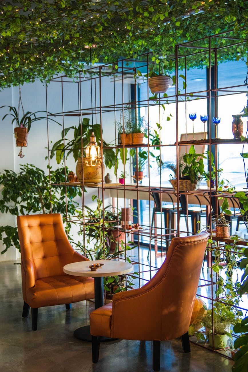 Click & Grow 25 Indoor Garden Brings Growing Into Your Kitchen