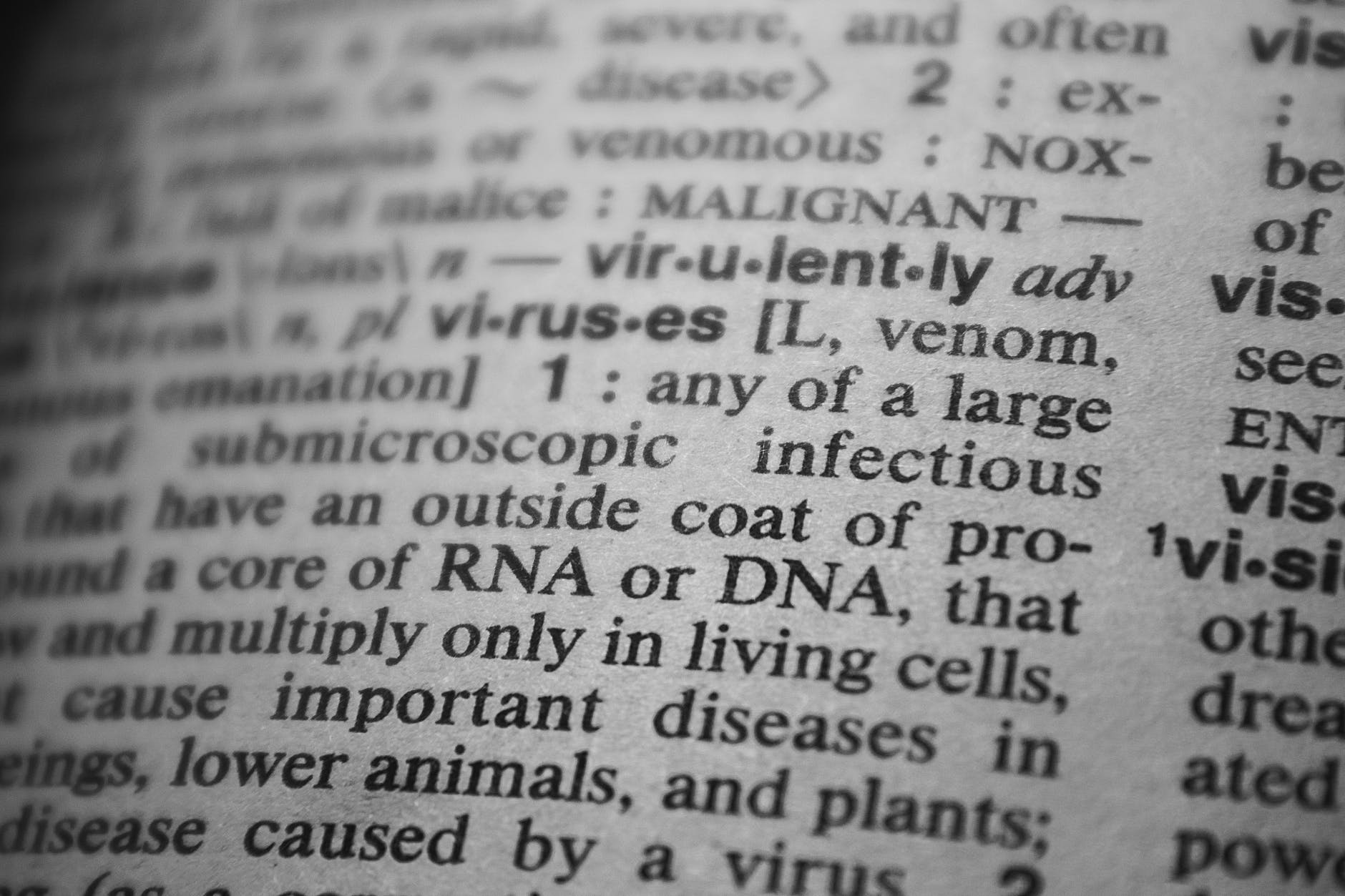 As little as 1.5% of our genome is ‘uniquely human’ | Live Science