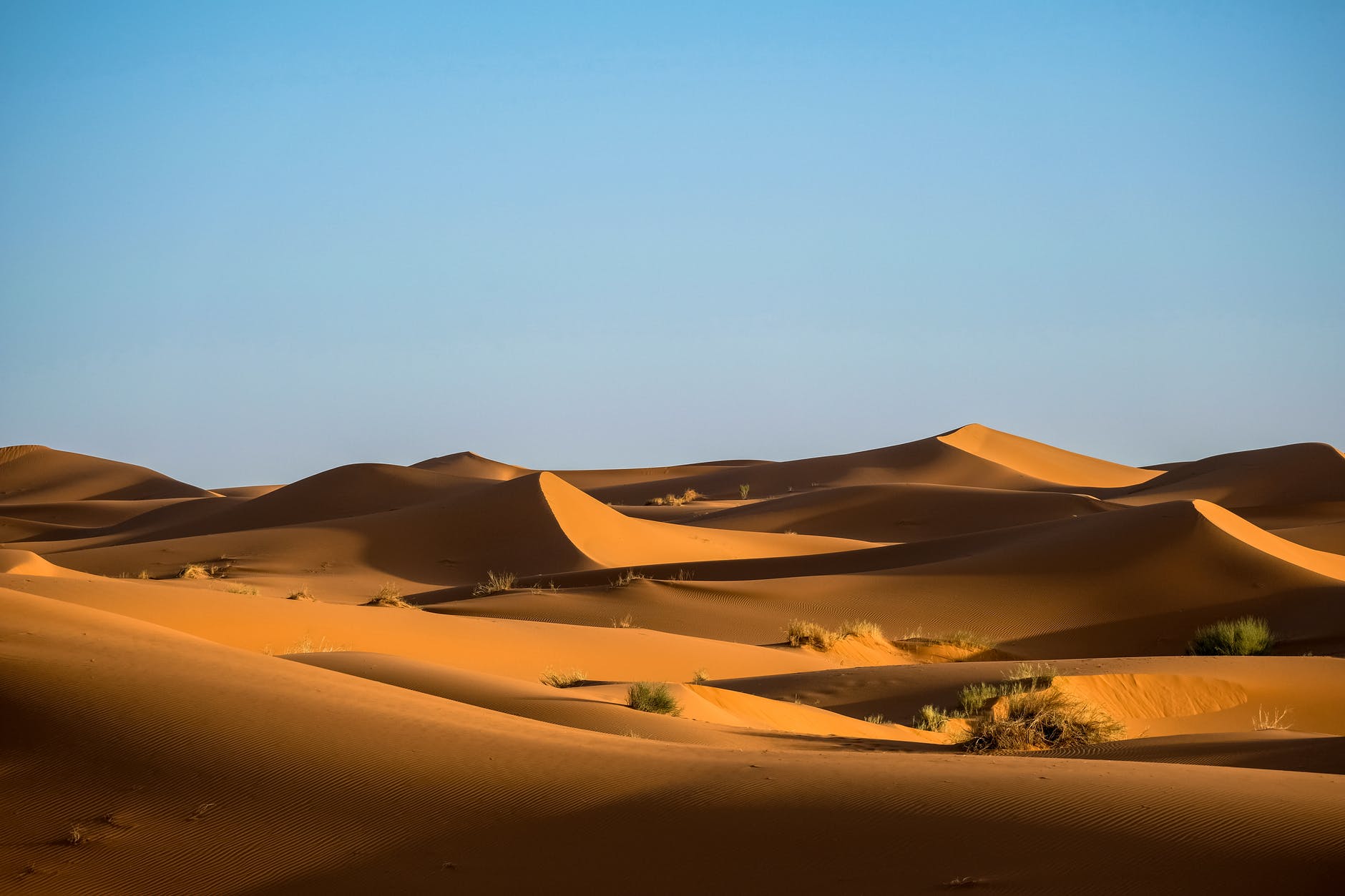 The Enduring Appeal of “Dune” as an Adolescent Power Fantasy | The New Yorker