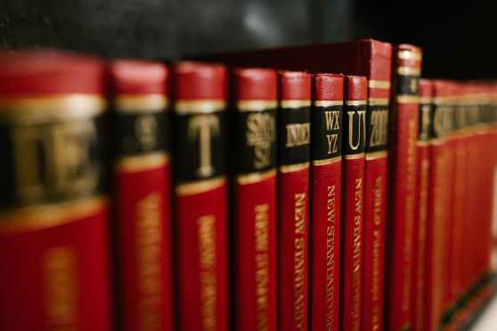 Opinion | The Battle for the Soul of the Library – The New York Times | Guest Essay