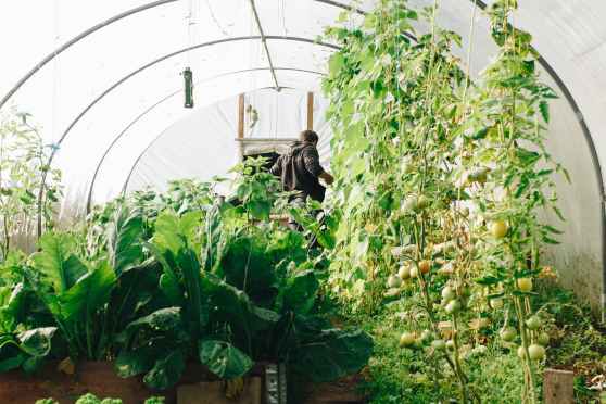 How Much Garden You Would Need to 100% Survive On? | Lifehacker