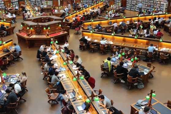This year I’m thankful for US public libraries – beautiful icons of a better civic era | The Guardian