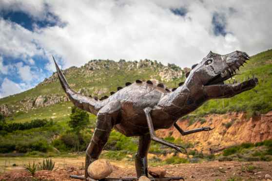 Scientists say planet in midst of sixth mass extinction, Earth’s wildlife running out of places to live – 60 Minutes – CBS News