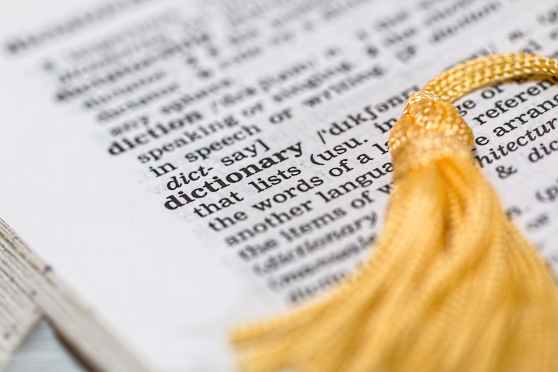 Letter from an English Department on the Brink | Sarah Blackwood | The New York Review of Books