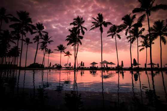 Cheeseburger In Paradise owners, with deep ties to OC, vow to rebuild in Lahaina | Orange County Register