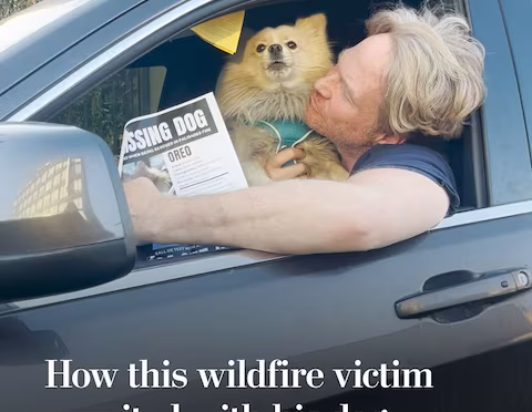 Oreo, the dog rescued from Palisades Fire in Los Angeles, is recovering – The Washington Post