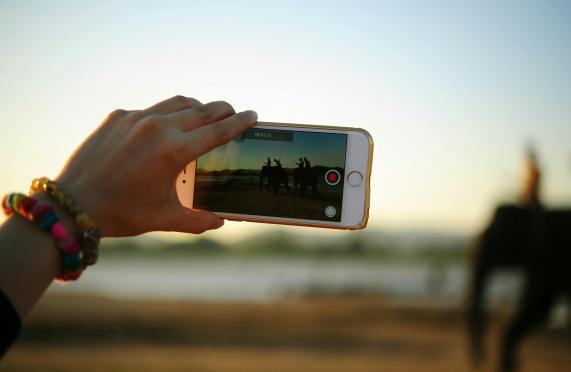 A colorful bracelet-adorned hand holding a smartphone capturing elephants in the distance.