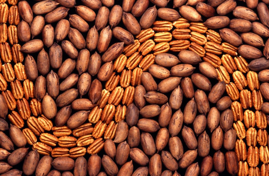 Pecans-1024x670-1