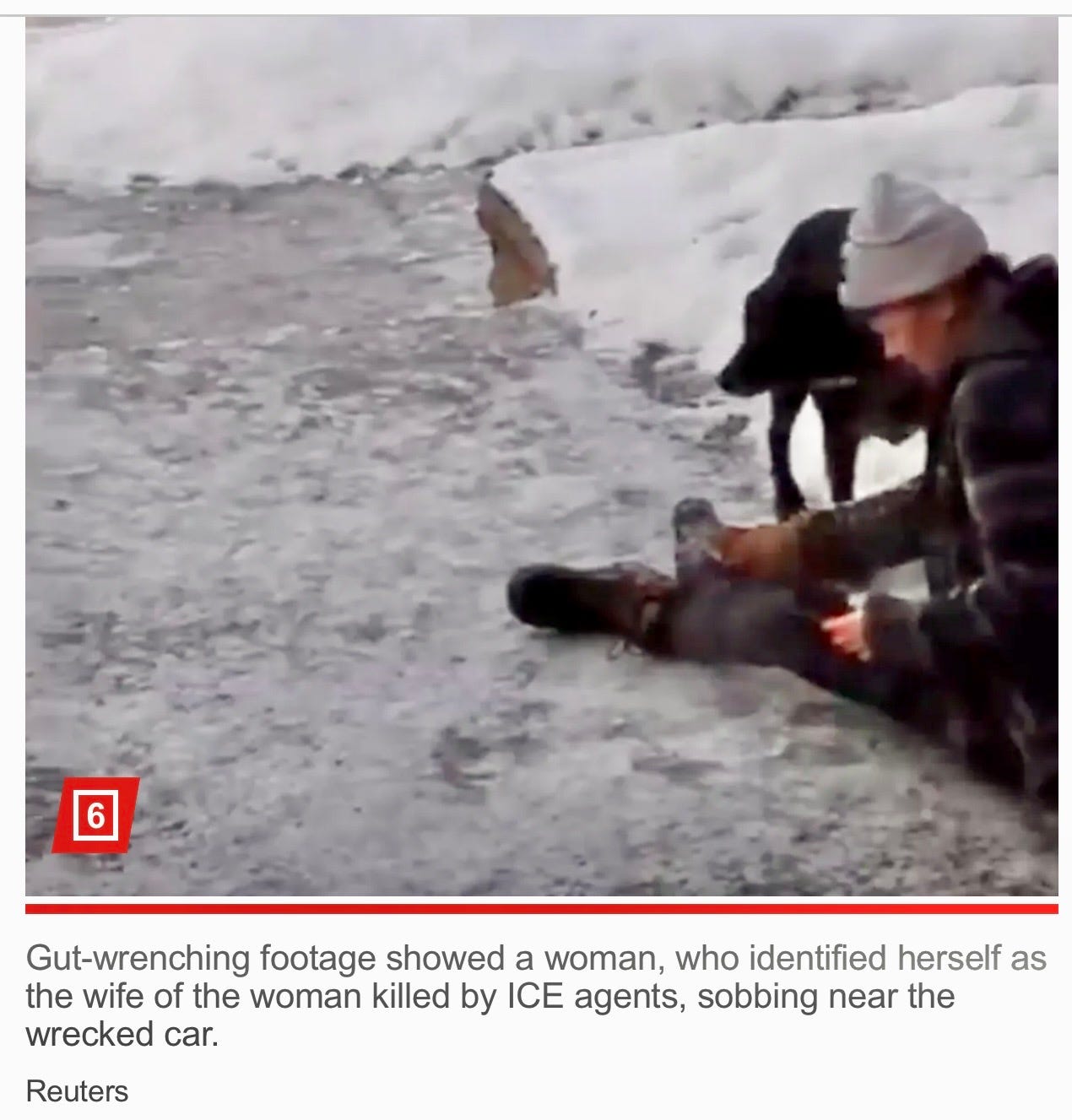 Good Dog – by Teri Carter – Reporting from Dog Lake